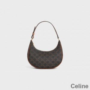 Celine Ava Bag in Triomphe Canvas Black/Brown